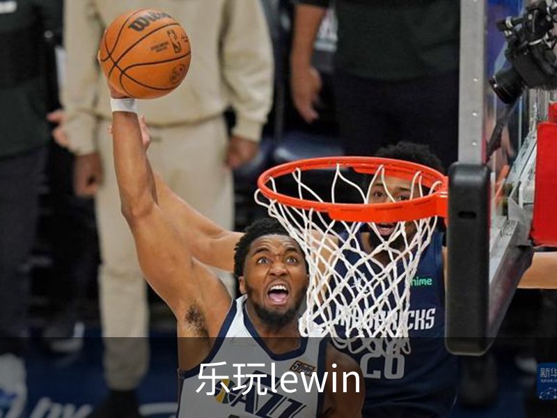 乐玩lewin简介